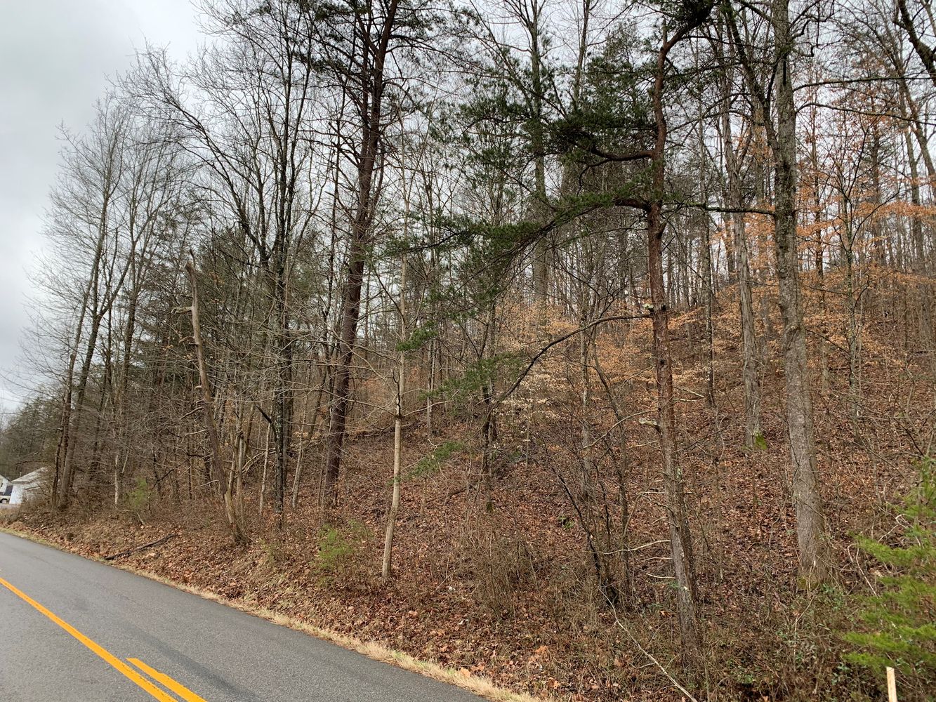 16341 State Rte 854, Rush, KY 41168